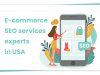 Ecommerce‌ ‌SEO‌ ‌Services‌ ‌Experts‌ ‌in‌ ‌USA