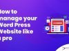 How to Manage Your Word Press Website Like a Pro