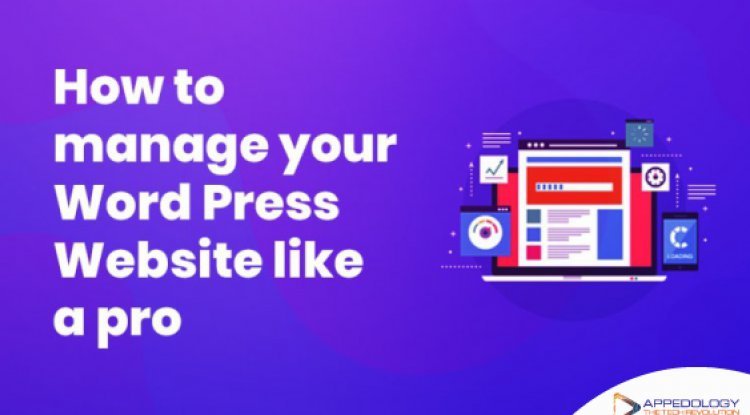 How to Manage Your Word Press Website Like a Pro
