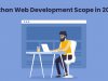 Python Web Development Scope in 2020