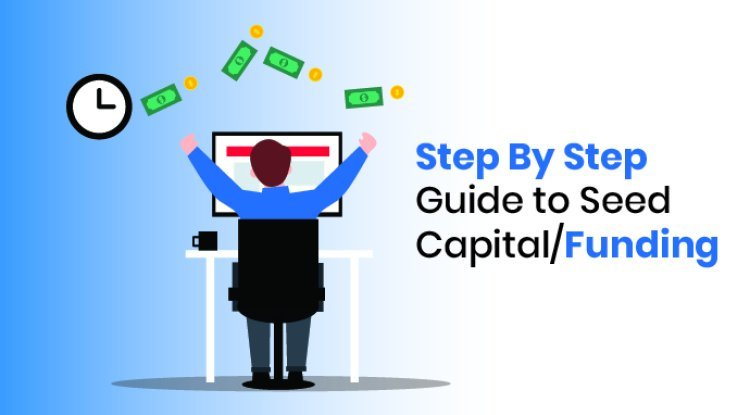 Step By Step Guide to Seed Capital/Funding